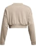 Under Armour Longsleeve "Ua Rival Terry Os Crop Crw" in Braun