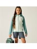Regatta Hybrid Softshelljacke Andreson in Hellgrün