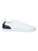 Lacoste Sneaker in Weiß/Blau