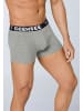 Chiemsee Boxershorts in Grau