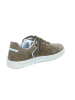 Sioux Sneaker Low in braun