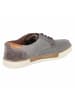 Camel Active Schnürhalbschuh in grey