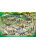 Eurographics Dinosaurier (Puzzle)