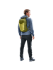 Deuter Speed Lite 17 in Apfelgrün