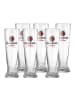 Ritzenhoff & Breker 6er Set Weizenbiergläser Paulaner 500 ml transparent in transparent