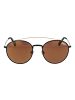 Superdry Männer Sonnenbrille Panto Schwarz