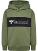 Hummel Kinder Hoodie "Atlas Hoodie" in Grün