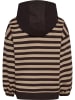 Hummel Kapuzenpullover Hmljr Conelly Lebensstil Kinder in CHOCOLATE TORTE