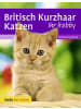 Verlag Eugen Ulmer Buch - Britisch Kurzhaar Katzen