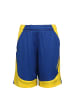 Under Armour Trainingsshorts SC30 Baseline in blau / gelb