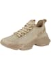 Steve Madden Sneaker low Maxout in beige