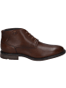 Josef Seibel Stiefelette Earl 04 in cognac