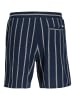Jack & Jones Shorts in Sky Captain