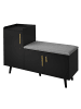 ABRIHOME Schuhbank in Schwarz mit 3 Stauraumtüren und Sitzfunktion B100 T34 H69 cm 