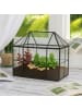 relaxdays Pflanzenterrarium "Haus" in Schwarz - (B)23 x (H)21 x (T)14 cm