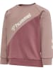 Hummel Sweatshirt Raglanärmel Hmlsportive Mädchen in DECO ROSE