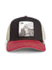 Goorin Bros. Cap in Tricolor Tortiouse