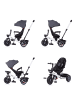 Chipolino Tricycle 4 in 1 Pegas verstellbar in grau