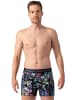 Muchachomalo 4er-Set: Boxershorts in Multicolor