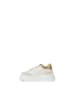 Ash Sneaker Beige