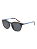 Skechers Männer Sonnenbrille Panto Braun