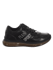 Plein Sport Sneakers in Black