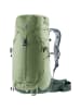 Deuter Rucksack Trail 24 in Schilf1214