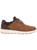 rieker Sneakers Low in brown/schoko/braun