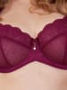 SugarShape BH Clara Lace in bordeaux