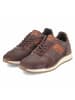 Bullboxer Schnürhalbschuh in brown