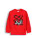 Coccodrillo Sweatshirt in rot