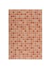 Pergamon In- und Outdoor Teppich Carpetto in Orange