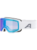 Alpina Skibrille VENET Q-LITE in Sand811