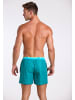 wavebreaker Shorts in grün