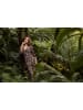 Laura Scott Maxikleid in braun-gemustert
