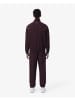 Lacoste Trainingshose in Oxalis/Farine