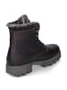 PANAMA JACK Winterboots CEDRIC C2 in Braun