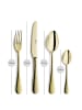 Paul Wirths 24-tlg. Besteckset MONDO in champagner