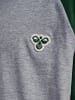 Hummel Hummel T-Shirt Hmljr Raglan Lebensstil Kinder in DARK GREEN