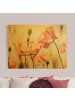 WALLART Leinwandbild Gold - Mohnblüten im Sommerwind in Rot