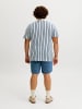 JACK & JONES PLUS Poloshirt in Sea Pearl 1