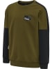 Hummel Hummel Sweatshirt Hmledward Multisport Jungen in DARK OLIVE