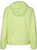 Levi´s Levi´s Windbreaker in shadow lime