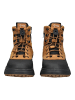 Geox Stiefelette in Schwarz/Braun