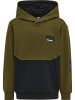 Hummel Hummel Kapuzenpullover Hmledward Multisport Jungen in DARK OLIVE