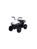 Wisam® S601 – Elektrisches Ride-On-Quad