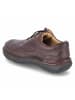 Clarks Schnürhalbschuh in braun