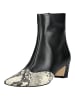 Steve Madden Stiefelette in Schwarz