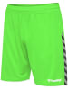 Hummel Hummel Poly Kurze Hose Hmlauthentic Multisport Herren Leichte Design Schnelltrocknend in GREEN GECKO