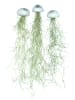 MeinVIPShop 3er Set Seeigelgehäuse silber mit tillandsia spanisch Moos